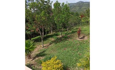MAAT vende finca en vereda Cune-Villeta 24.000m2 $1.350Millones