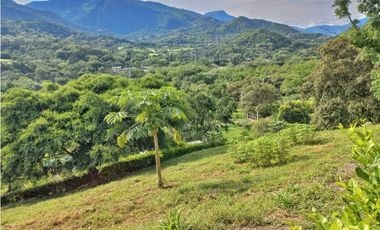MAAT Vende Casa campestre-Villeta 4.810m2 $2.800Millones