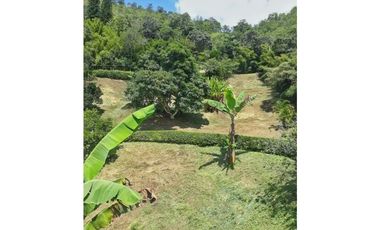 MAAT vende finca  - La Vega 7.000m2 $990Millones