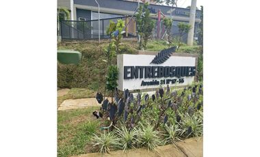 Arriendo Apartamento EntreBosques, Terranova, Bello