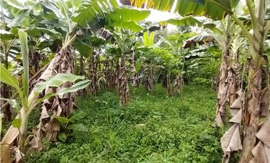 FINCA PRODUCTIVA EN VENTA EN BOLO LA ITALIA 