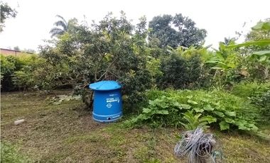 FINCA PRODUCTIVA EN VENTA EN BOLO LA ITALIA 