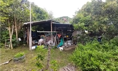 FINCA PRODUCTIVA EN VENTA EN BOLO LA ITALIA 