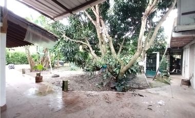 FINCA PRODUCTIVA EN VENTA EN BOLO LA ITALIA 