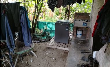 FINCA PRODUCTIVA EN VENTA EN BOLO LA ITALIA 