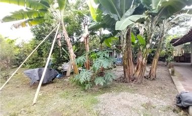 FINCA PRODUCTIVA EN VENTA EN BOLO LA ITALIA 