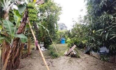 FINCA PRODUCTIVA EN VENTA EN BOLO LA ITALIA 