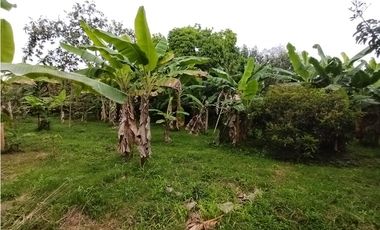 FINCA PRODUCTIVA EN VENTA EN BOLO LA ITALIA 