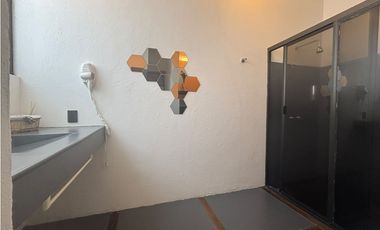 Loft en Renta en Olímpica Coyoacán