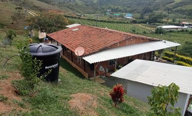 VENDO O PERMUTO FINCA 1669 m² ,Arboles Frutales, segura, cómoda, vista excelente y clima. A  Solo 15 Minutos del hospital de Jamundí