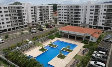 Alquiler de apartamento 1Rec Hermosa Vista PH Midrise Panamá Pacífico