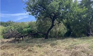 TERRENO / SAN CARLOS / 2200 M2 / PLAYA LA ERMITA / CERCA DEL MAR