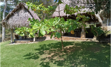 FINCA / 26 HECTAREA / EL CACAO / CAPIRA / POTENCIAL TURISTICO