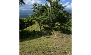 FINCA / 26 HECTAREA / EL CACAO / CAPIRA / POTENCIAL TURISTICO