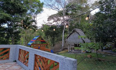 SE VENDE FINCA DE 26 HECTAREA UBICADA EN EL CACAO CAPIRA NEGOCIABLE