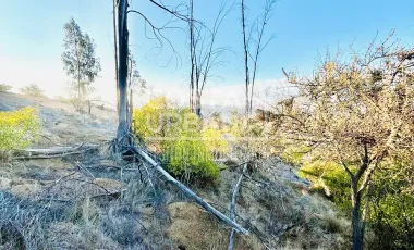 VENTA DE TERRENO PARA INVERSION EN QUILPUE