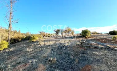 VENTA DE TERRENO PARA INVERSION EN QUILPUE
