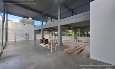 LOCAL COMERCIAL EN ALQUILER  –  SOBRE COLECTORA