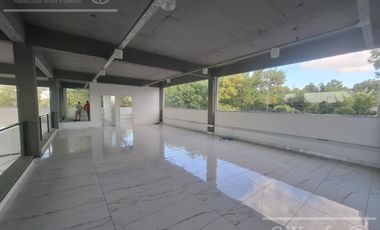 LOCAL COMERCIAL EN ALQUILER  –  SOBRE COLECTORA