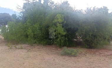 Granja en venta en la Mesa, Aldama