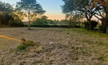 ¡Lote frente al Golf en Colonia Carolina!