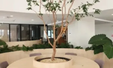 Departamento en renta en Juarez, Cuauhtémoc, Ciudad de México