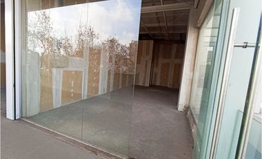 Local Comercial en Arriendo, Alto Flujo Peatonal, Santiago