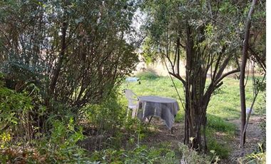 ARRIENDO LINDA CASA EN Pirque
