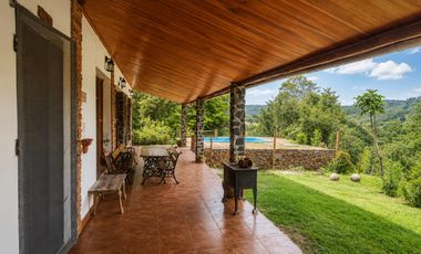 Chacra 50has en Venta en Cerro Cora, Misiones, Argentina