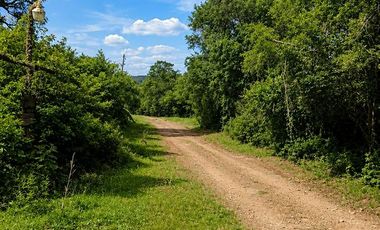 Chacra 50has en Venta en Cerro Cora, Misiones, Argentina