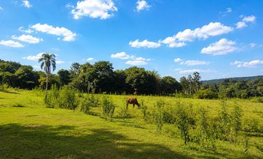 Chacra 50has en Venta en Cerro Cora, Misiones, Argentina