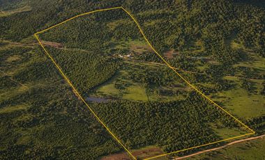 Chacra 50has en Venta en Cerro Cora, Misiones, Argentina