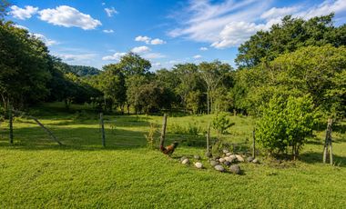 Chacra 50has en Venta en Cerro Cora, Misiones, Argentina