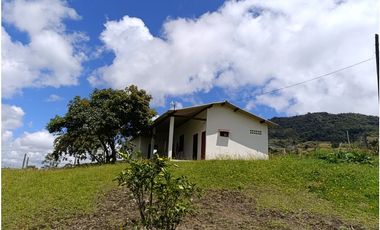Arriendo finca en El Carmen de Viboral - la joya natural del Oriente