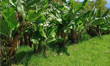 Arriendo finca en El Carmen de Viboral - la joya natural del Oriente