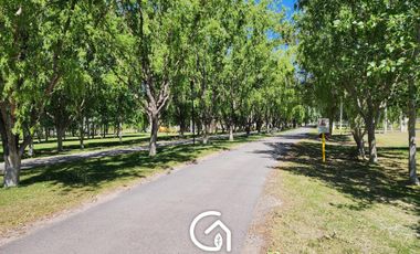 Venta Casa 3 dormit. en barrio privado los Olivos Centenario, Neuquén