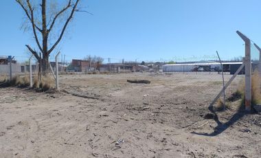 Terreno alquiler comercial en Plottier