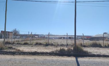 Terreno alquiler comercial en Plottier