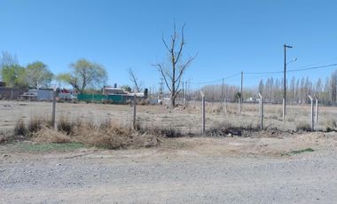 Terreno alquiler comercial en Plottier