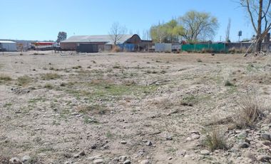 Terreno alquiler comercial en Plottier