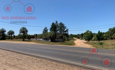 Terreno en Concordia