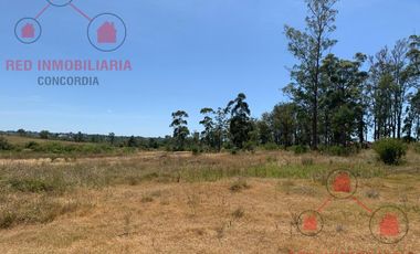 Terreno en Concordia