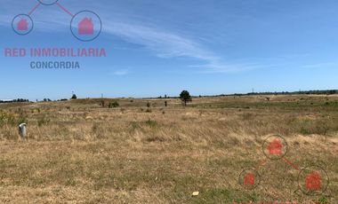 Terreno en Concordia