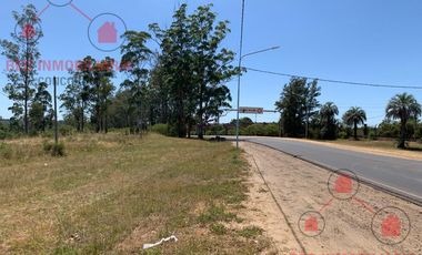 Terreno en Concordia