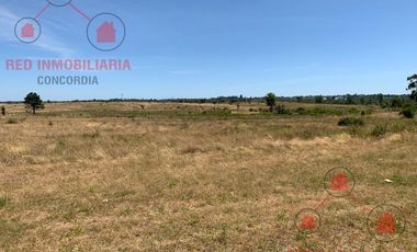 Terreno en Concordia