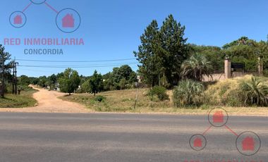Terreno en Concordia