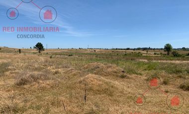 Terreno en Concordia