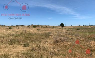 Terreno en Concordia