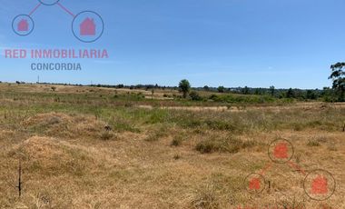 Terreno en Concordia