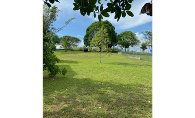 SE VENDE AMPLIO TERRENO CON CABAÑA EN LOS NANCES PRADERA DE UTIVE